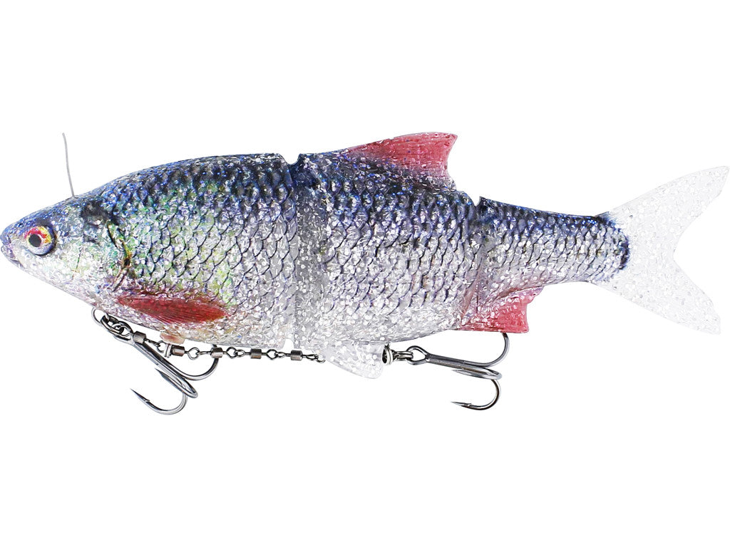 Ricky The Roach INLINE 35 cm - Exklusiv von BigBaitBrothers - Nur €49.99! Neu bei BigBaitBrothers