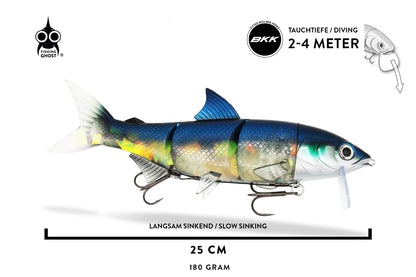 RenkyOne 25 cm - Exklusiv  von FishingGhost - Nur €36.90! Neu bei BigBaitBrothers