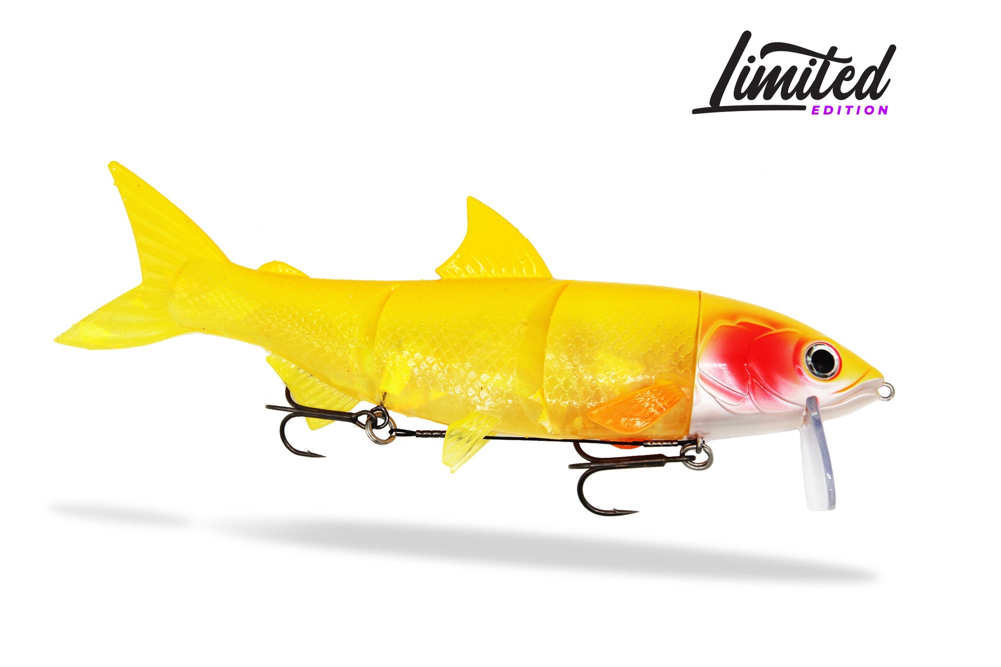 RenkyOne 25 cm - Exklusiv  von FishingGhost - Nur €36.90! Neu bei BigBaitBrothers