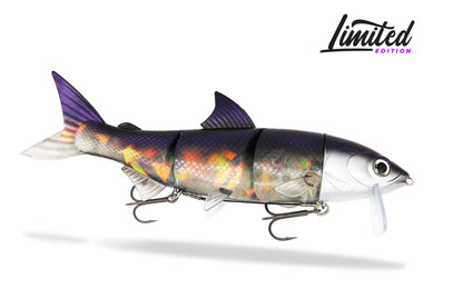 RenkyOne 25 cm - Exklusiv  von FishingGhost - Nur €36.90! Neu bei BigBaitBrothers